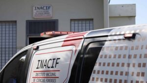 Las autoridades investigan si fue atropellada durante la madrugada