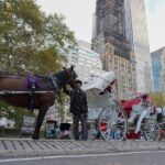 Nueva York pone fin a los carruajes de caballos tras aprobar ley